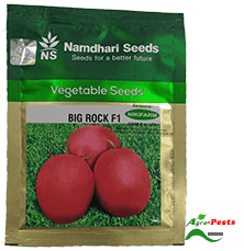 Big Rock F1 tomato 10,000 seeds