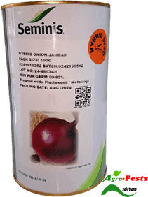 Jambar F1 onion 500g