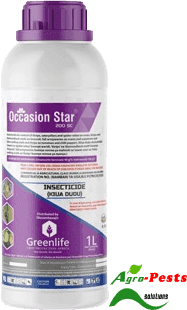 Occasion Star® 200SC 25 ml