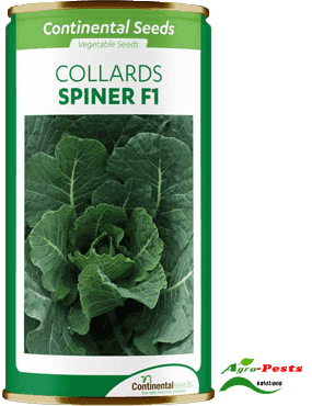 Spiner F1 collards 25g