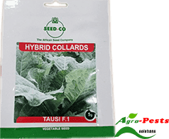 Tausi F1 Collards 50g