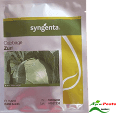 Zuri F1 Cabbage 2,500 seeds